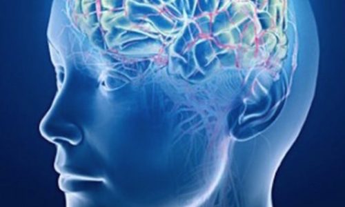 H- Module 7: Neurologie